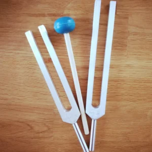 Set de 12 diapasons Phi Therapy®